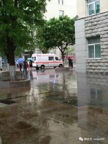 忻州师院爆料事件最新进展,真相逐步浮出水面  第1张